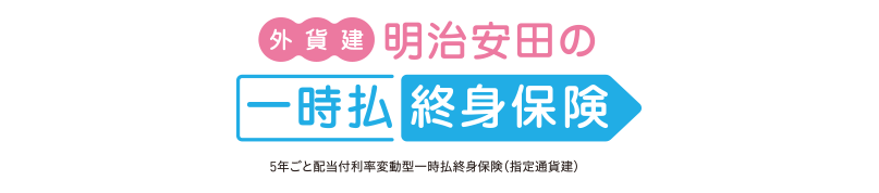 外貨建・明治安田の一時払終身保険