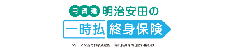 円貨建・明治安田の一時払い終身保険