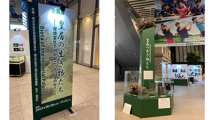 皇居の生き物たち