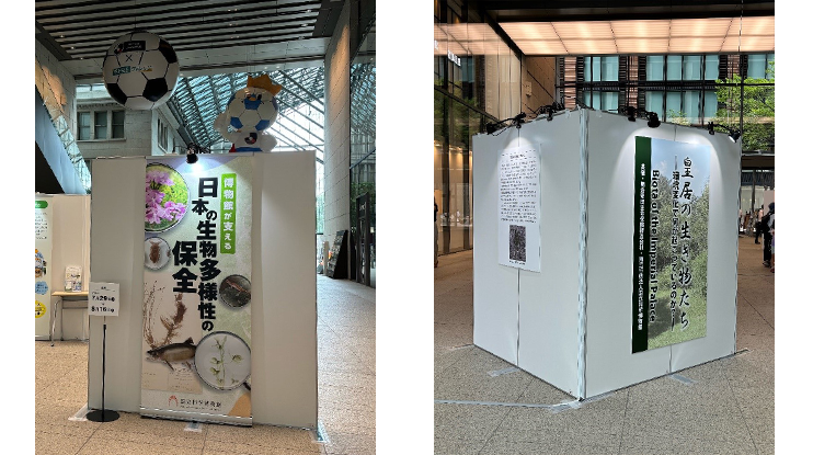 日本の生物多様性の保全